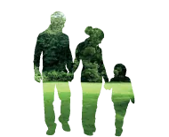 Environmental Declaration